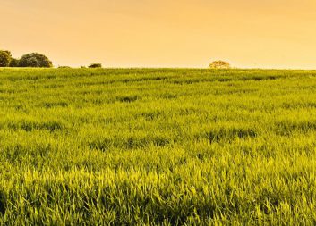 Ny teknik för slamåtervinning